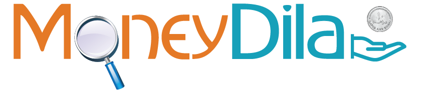 Money Dila logo